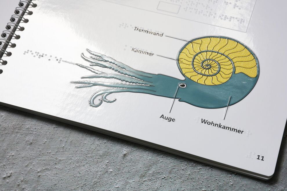 Aufgeschlagenes Ringbuch (taktile Illustration: Ammonit mit schneckenartigem Kalkgehäuse, Text in Braille- und Schwarzschrift)