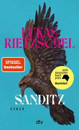 Cover "Sanditz" von Lukas Rietzschel, Illustration: ein fliegender Vogel mit weitausgebreiteten Flügeln und langem spitzen Schnabel, Spiegelbestseller, nominiert 2026 Deutscher Buchpreis