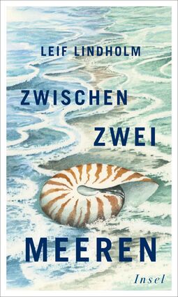 Cover "Zwischen zwei Meeren" von Leif Lindholm. Illustration: eine riesengroße Muschel liegend zwischen Meer und Strand