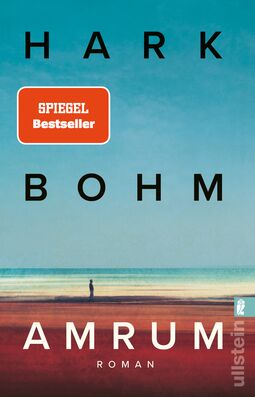 Cover "Amrum" von Hark Bohm (Illustration: Von Weitem zu sehen ist ein Mensch hinter ihm das Meer, im Vordergrund der Strand.