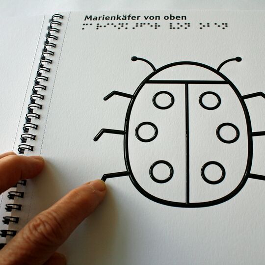 Aufgeschlagenes Ringbuch mit Marienkäfer zum Ausmalen