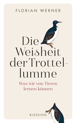 Buchcover "Die Weisheit der Trottellumme. Was wir von Tieren lernen können" von Florian Werner. (Illustration: neben der Überschrift ein Trottellumme und rechts unten fällt dieser Vogel im Sprung aus dem Bild)