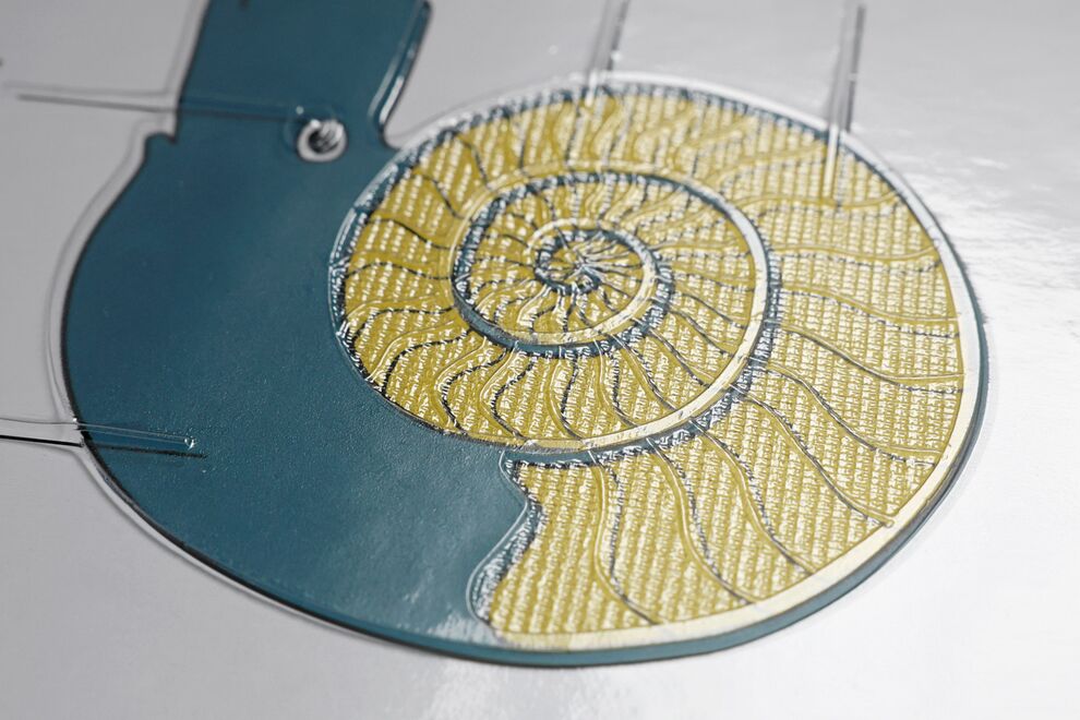 Detailansicht des gekammerten Kalkgehäuses eines Ammoniten