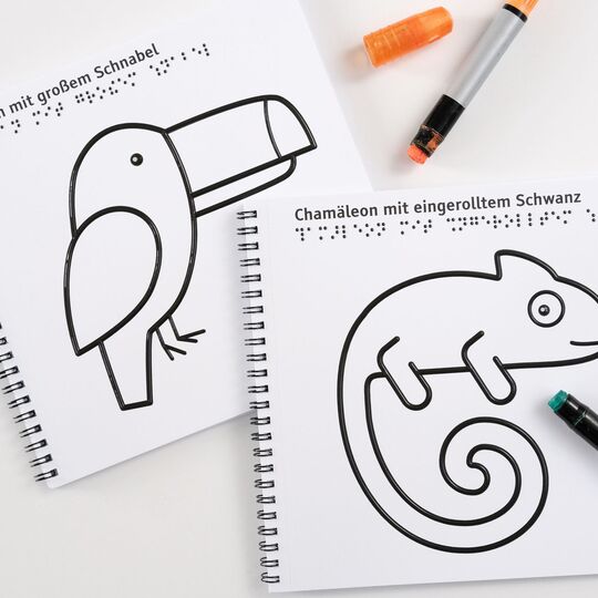 Zwei Ausmalbücher, eines mit Tukan-, das andere mit Chamäleon-Motiv, zwei Stifte